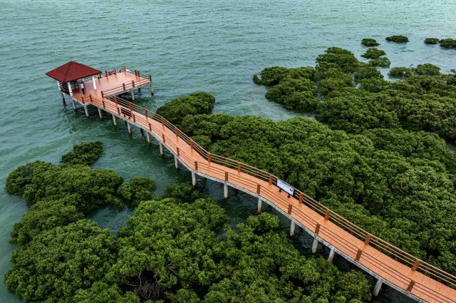 【Chinese Islands】The Complete Guide to Chinese Island Tourism in Guangdong, China