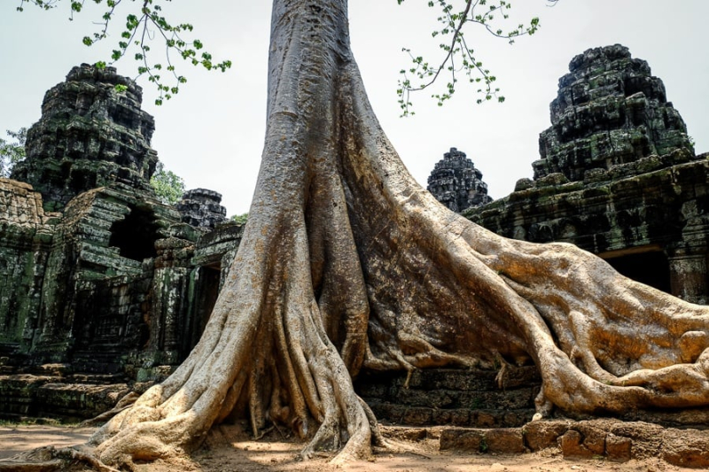 Angkor Wat Travel Guide For Cambodia