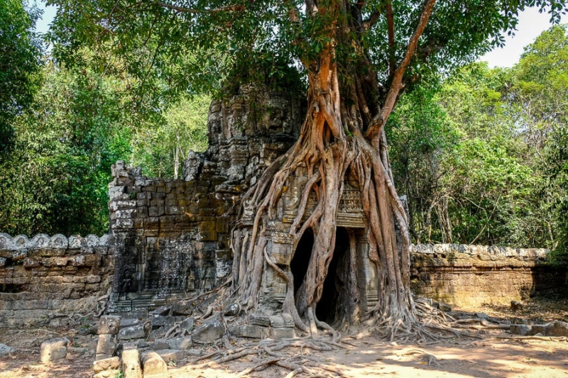 Angkor Wat Travel Guide For Cambodia