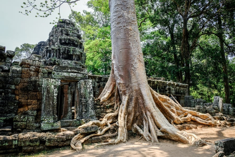 Angkor Wat Travel Guide For Cambodia