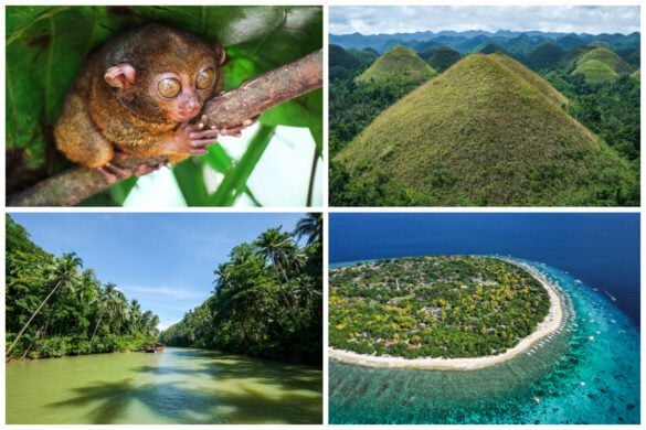 Bohol Island Travel Guide For The Philippines