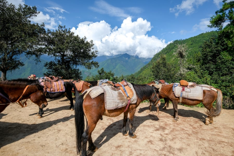 How To Hike To The Tiger’s Nest Monastery In Bhutan