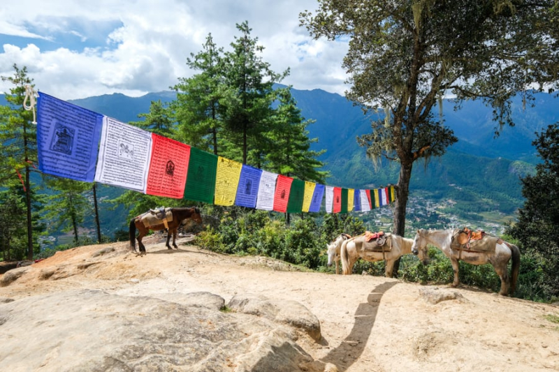 How To Hike To The Tiger’s Nest Monastery In Bhutan