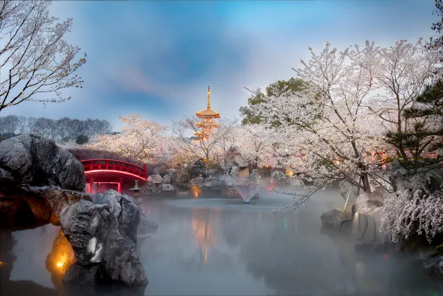 2025 Best Places to See Beautiful Flowers in China