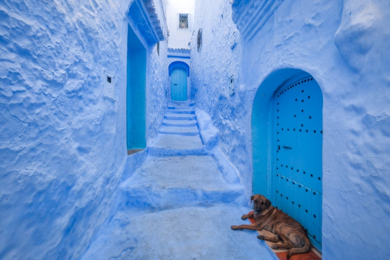 Chefchaouen Day Trip: The Blue City Of Morocco