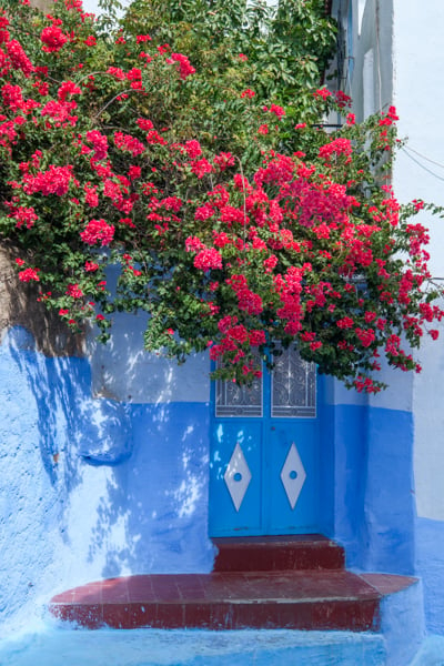 Chefchaouen Day Trip: The Blue City Of Morocco