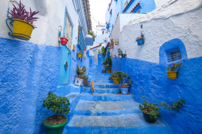 Chefchaouen Day Trip: The Blue City Of Morocco