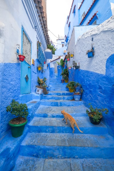 Chefchaouen Day Trip: The Blue City Of Morocco