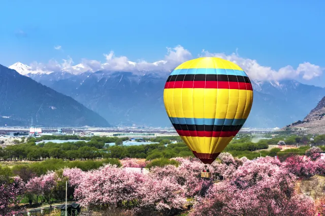 2025 Best Places to See Beautiful Flowers in China