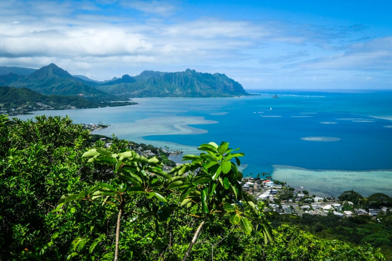 10 Pillbox Hikes In Oahu With Great Views