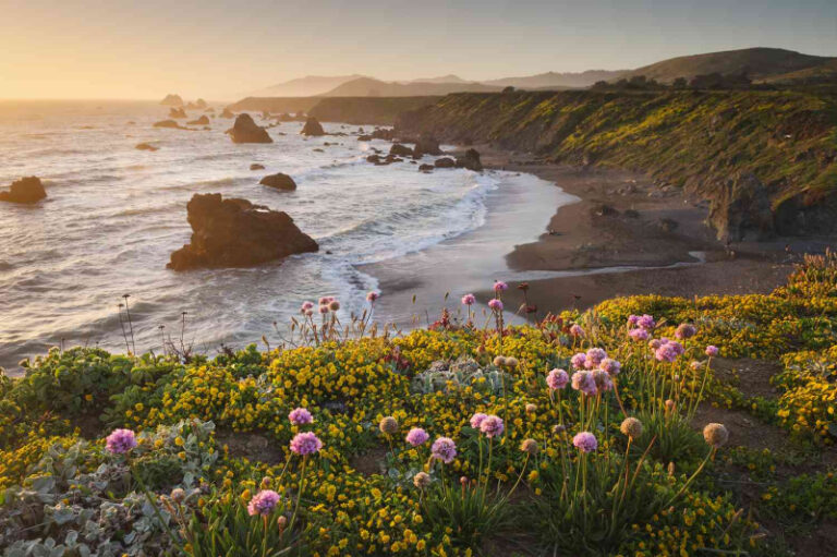 This California City Was Just Named No.1 for Luxury Experiences on a Budget