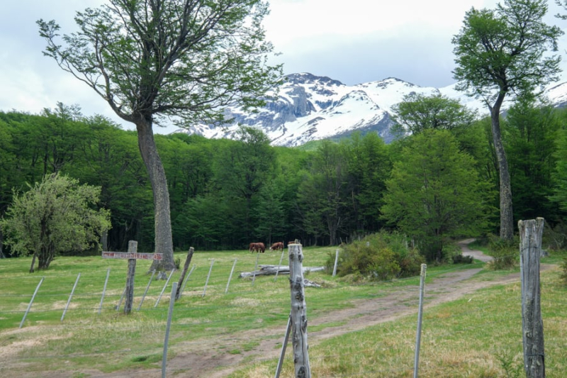 How To Visit Huemul Glacier From El Chalten, Patagonia